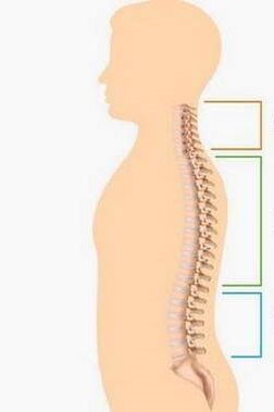 آفة هشاشة العظم من أجزاء مختلفة من العمود الفقري